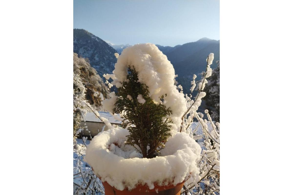Prince Homestay & Restaurant Rudraprayag Екстер'єр фото